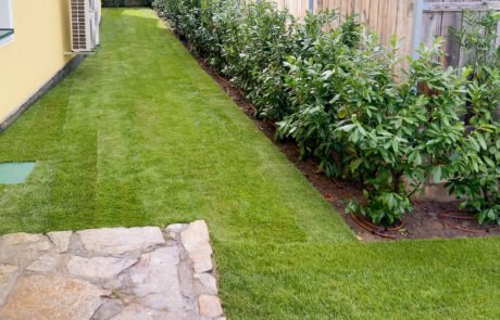 Verlegung von Rollrasen.