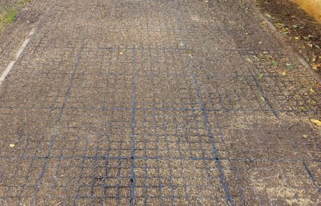 Rasengitter mit Rasensamen bestreuen.